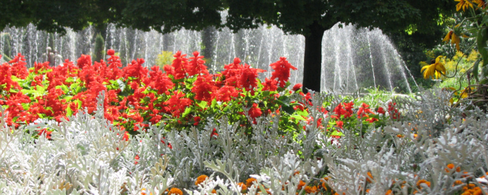 санаторий отдых в Польше горы Бескиды Крыница Здрой